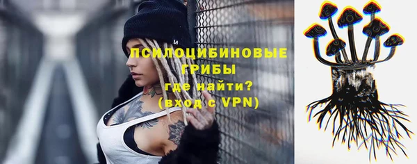 не бодяженный Аркадак