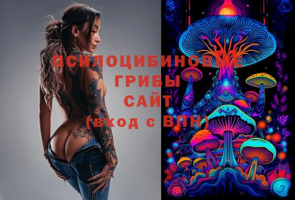 мет Арсеньев