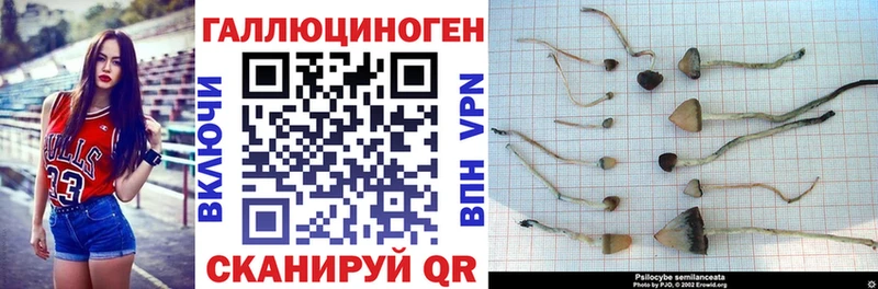 blacksprut сайт  Усинск  Галлюциногенные грибы Psilocybe 